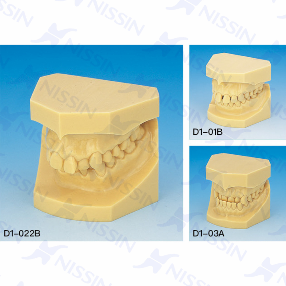 正畸錯頜畸形分類演示模型（10組1套）